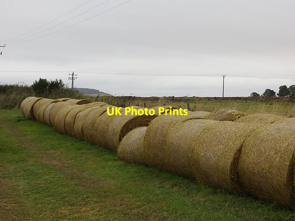Photo 6"x4" Round bale stash Mills c2013
