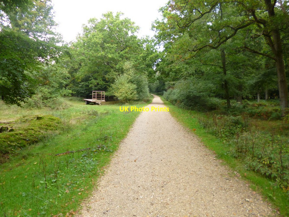 Photo 6"x4" South Oakley Inclosure, cycle route Burley Lawn c2013
