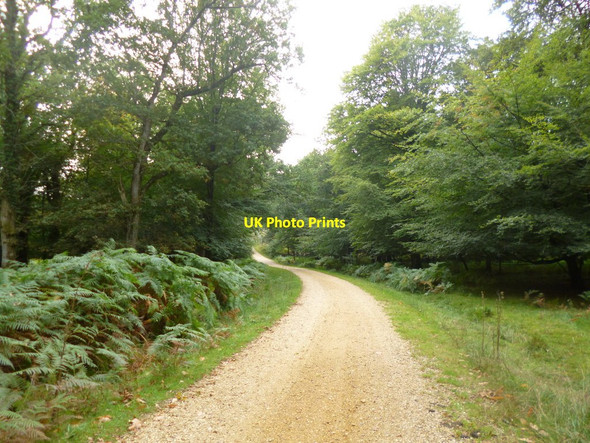 Photo 6"x4" Burley Outer Rails Inclosure, cycle route Burley Lawn c2013