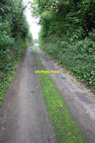 Photo 6"x4" View along Green Lane towards the A30 Holywell\/ST5213 c2013
