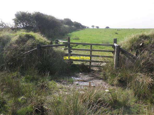 Photo 6"x4" Gateway on Broad Mead Swincombe c2013
