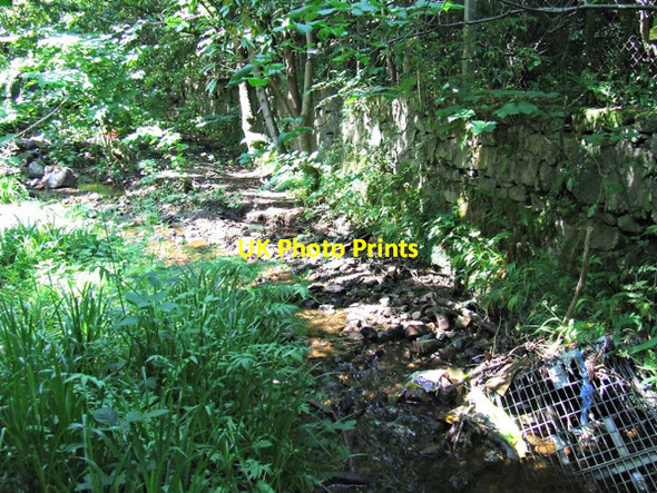 Photo 6"x4" The Glen Burn Port Glasgow c2013 P1
