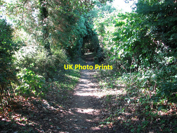 Photo 6"x4" Footpath to Star House Hellington c2013