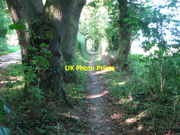 Photo 6"x4" Path to Rockland St Mary Hellington c2013