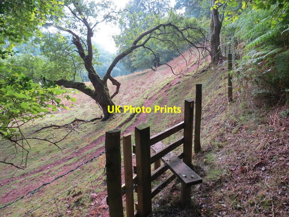 Photo 6"x4" Llwybr Cwm Sawdde Footpath, Twynllannan Twynllanan c2013