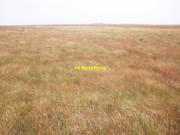 Photo 6"x4" Boggy grassland, on the 'Chains' Swincombe c2013
