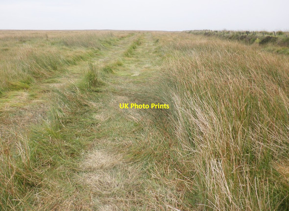Photo 6"x4" The Tarka Trail crosses the 'Chains' Swincombe c2013