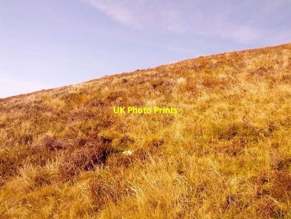 Photo 6"x4" Looking up hillside with Monadh Uisge Mhuilinn hidden beyond Gairlochy\/Ge\u00e0rr Lochaidh c2013