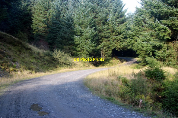 Photo 6"x4" Forest road takes a bend to cross a burn above Bullwood Dunoon c2013