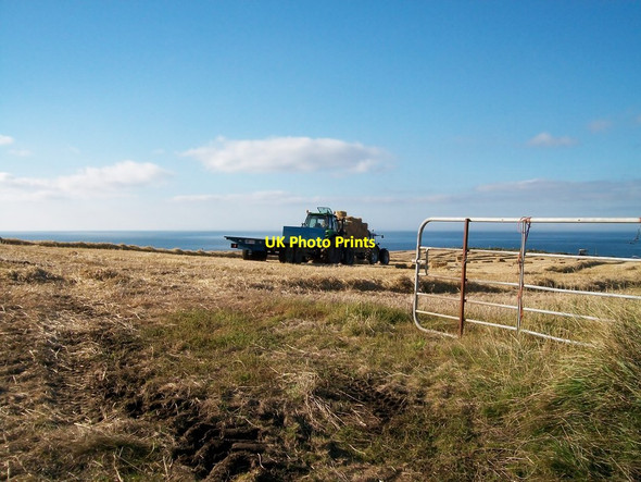 Photo 6"x4" Harvesting on cliff-top fields above Ballintoy Harbour Ballintoy c2013