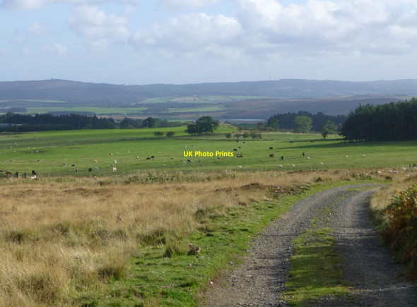 Photo 6"x4" Looking down the track from Hagdon Eglingham c2013