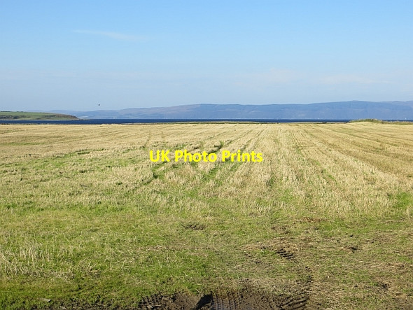 Photo 6"x4" Stubble, Straad Straad c2013