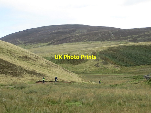 Photo 6"x4" Green Cleugh path Malleny Mills c2013 P3