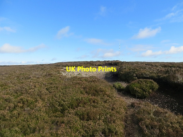 Photo 6"x4" Summit of Black Hill Malleny Mills c2013