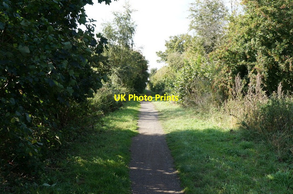 Photo 6"x4" The former Withernsea to Hull rail line Hedon c2013 P1