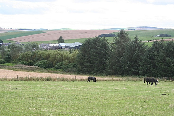 Photo 6"x4" Upper Gariochsford Gariochsford c2008