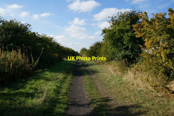 Photo 6"x4" The former Withernsea to Hull rail line Hedon c2013