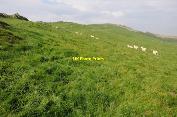 Photo 6"x4" Slopes of Craig y Llyn-mawr Maesypandy c2013