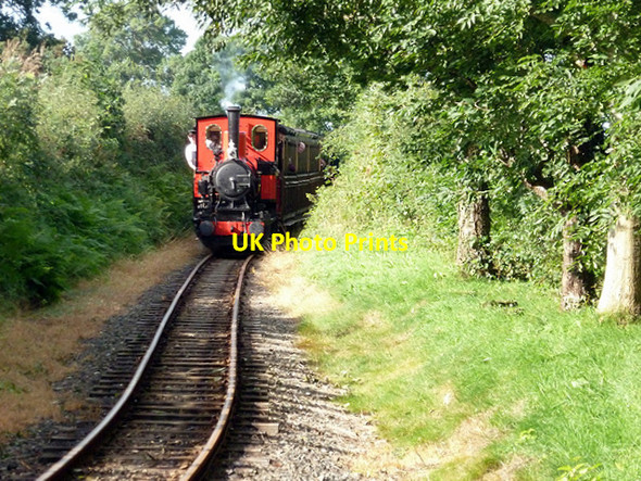 Photo 6"x4" The first train of the day approaching Rhyd-yr-onen station, Talyllyn Railway Rhyd-yr-onnen c2013