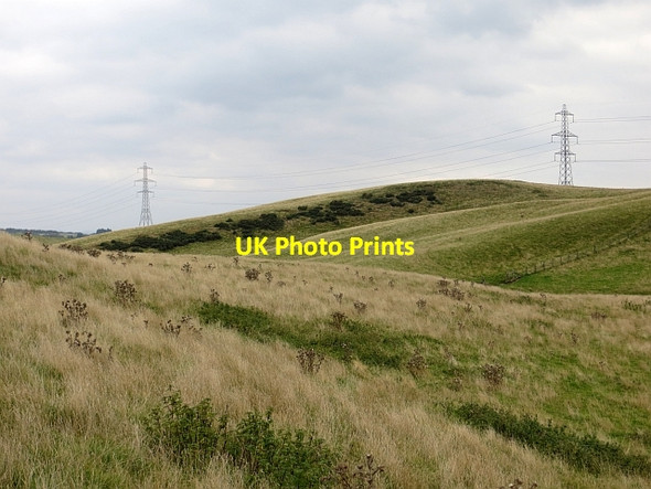 Photo 6"x4" Hill pasture Duncrievie c2013