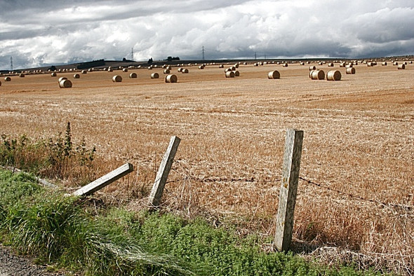 Photo 6"x4" Bales near Upperthird Gariochsford c2008