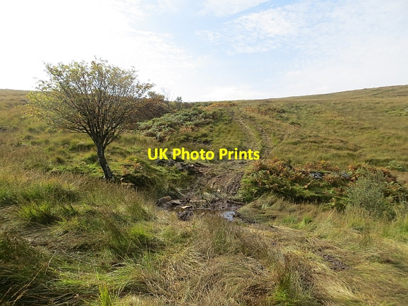 Photo 6"x4" Tractor tracks above Shalunt St Colmac c2013