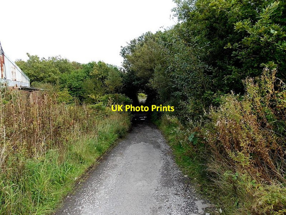 Photo 6"x4" Path beyond the eastern end of Station Road Grovesend Gorseinon c2013