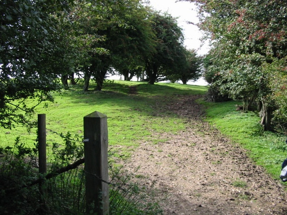 Photo 6"x4" Looking W along the Elham Valley Way where it emerges from the trees Etchinghill\/TR1639 c2008