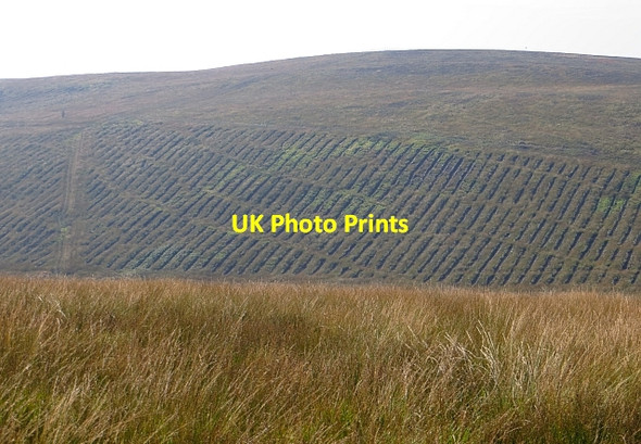 Photo 6"x4" Kilbride Hill St Colmac c2013