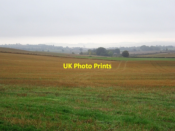 Photo 6"x4" Field beneath East Hall Fernie\/NO3115 c2013