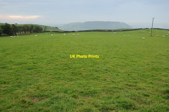 Photo 6"x4" Farmland near Pant-y-bryn Maesypandy c2013