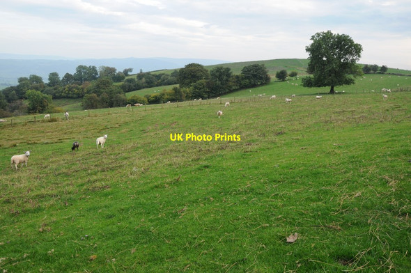 Photo 6"x4" Farmland above Alltwnnog Llanwnog c2013