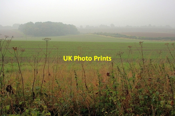 Photo 6"x4" Looking Towards Hergill Plantation Forcett c2013