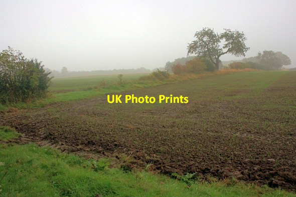Photo 6"x4" Corner of Field Piercebridge c2013