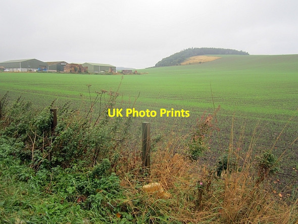 Photo 6"x4" Arable land, Kilmany Kilmany c2013