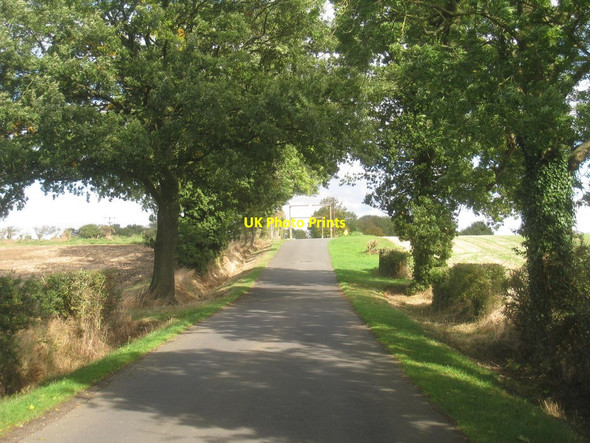 Photo 6"x4" Barfield Lane Reepham\/TF0373 c2013