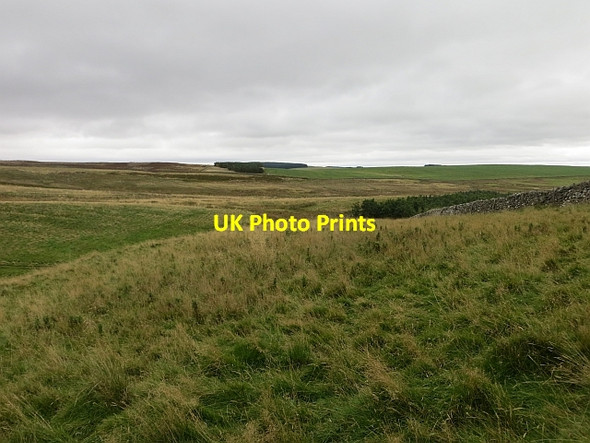 Photo 6"x4" Edgarhope Moor Blythe c2013