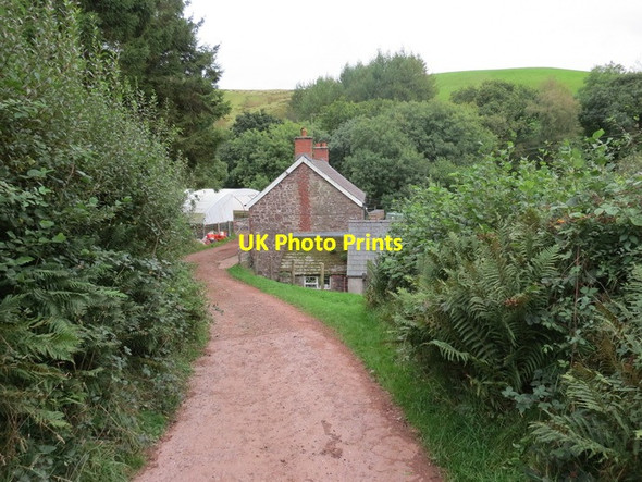 Photo 6"x4" Ffarm Blaenllechach \/ Blaenllechach Farm Talsarn\/SN7726 c2013