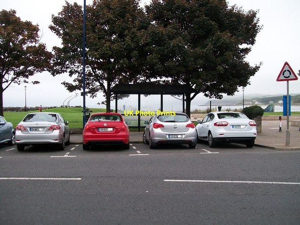 Photo 6"x4" Southern visitors at Ballycastle Ballycastle\/D1140 c2013