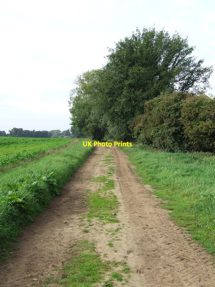 Photo 6"x4" Peterfen Drove Eriswell c2013