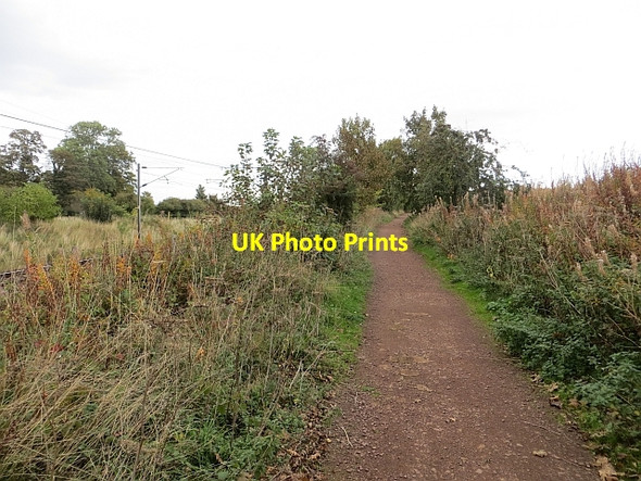 Photo 6"x4" Haddington railway path, Longniddry Longniddry c2013