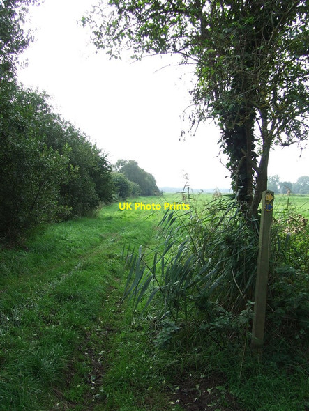 Photo 6"x4" Footpath Junction Claypits\/TL7181 c2013
