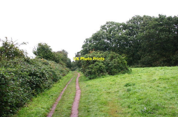 Photo 6"x4" Public footpath by western edge of Bunkers Hill Wood, Staffs Stourbridge c2013