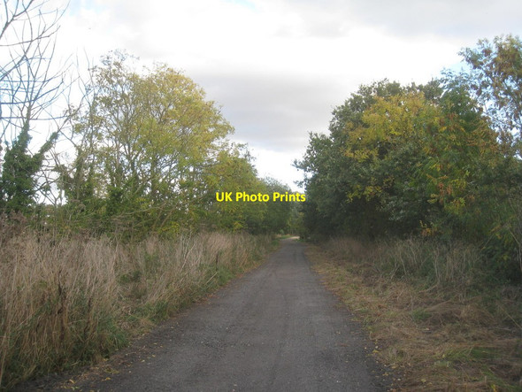 Photo 6"x4" Roadway to Greave's End Hive c2013