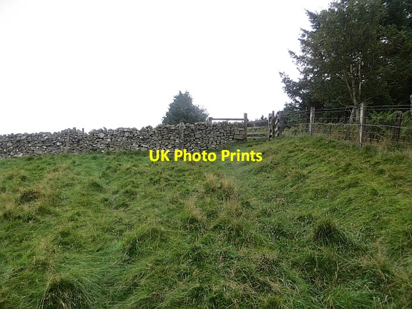 Photo 6"x4" Edge of Edgarhope Wood Blythe c2013
