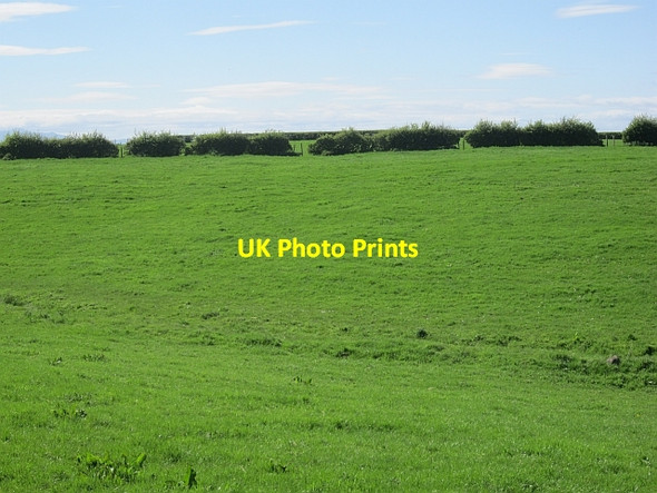 Photo 6"x4" Field, Busbie Mains Knockentiber c2013