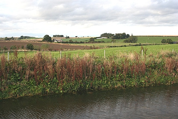 Photo 6"x4" New Ponds at Old Mill of Fochel Barthol Chapel c2008