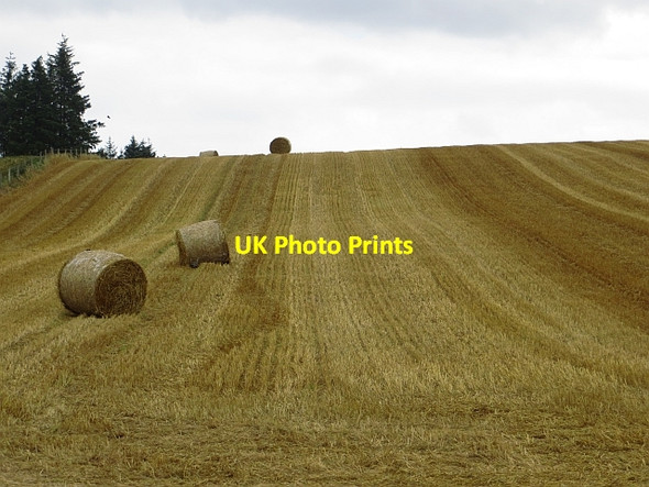 Photo 6"x4" Stubble near Newhill Duncrievie c2013