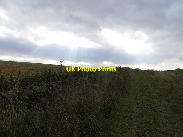 Photo 6"x4" Unsealed road near Newhill Duncrievie c2013