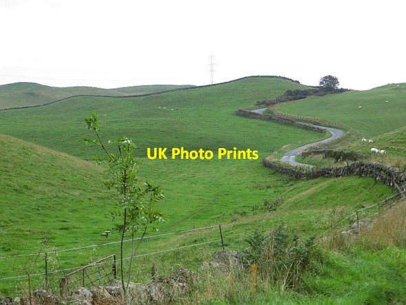 Photo 6"x4" Milnathort - Path of Condie road Duncrievie c2013